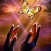 Diamond Painting Vlinder Uit Hand voorbeeldafbeelding van het volledige ontwerp