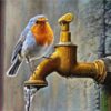 Diamond Painting Vogel voorbeeldafbeelding van het volledige ontwerp