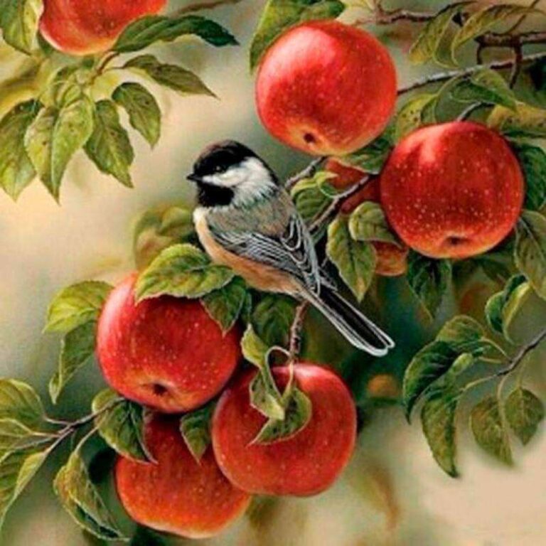 Diamond Painting Vogeltje In Boom voorbeeldafbeelding van het volledige ontwerp