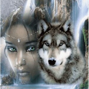 Diamond Painting Vrouw En Wolf voorbeeldafbeelding van het volledige ontwerp