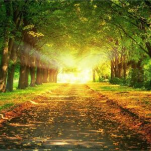 Diamond Painting Wandeling In De Herfst voorbeeldafbeelding van het volledige ontwerp