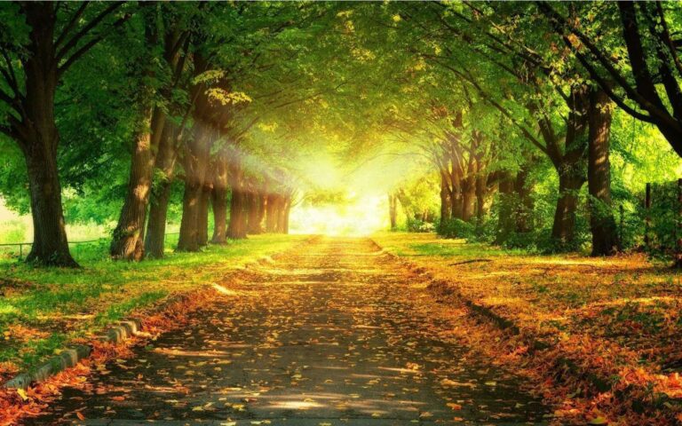 Diamond Painting Wandeling In De Herfst voorbeeldafbeelding van het volledige ontwerp