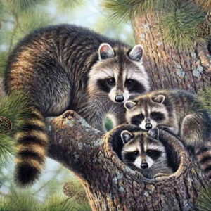 Diamond Painting - Wasbeerfamilie in het bos voorbeeldafbeelding van het volledige ontwerp