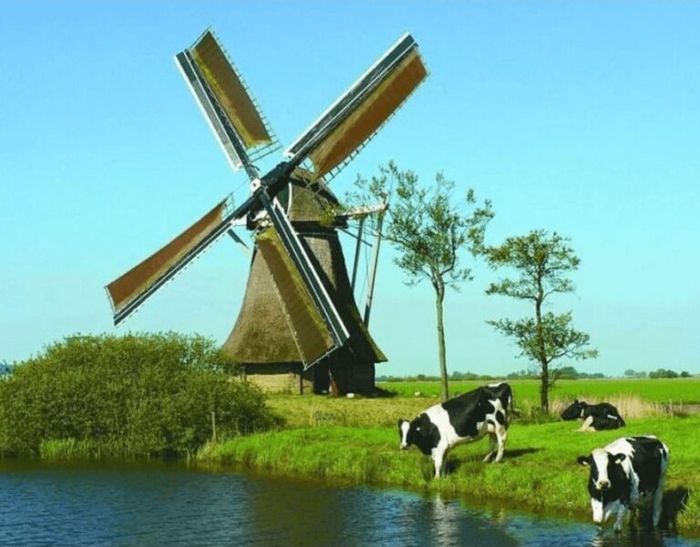 Diamond Painting Windmolen En Koeien Aan Het Water voorbeeldafbeelding van het volledige ontwerp