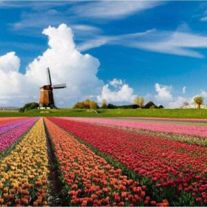 Diamond Painting Windmolen Tulpen Veld voorbeeldafbeelding van het volledige ontwerp