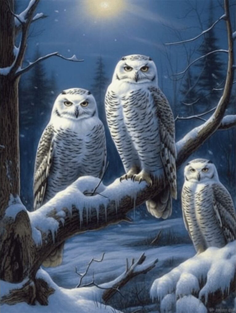 Diamond Painting Winter Uilen voorbeeldafbeelding van het volledige ontwerp