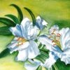 Diamond Painting Witte Bloemen En Groene Bladeren voorbeeldafbeelding van het volledige ontwerp