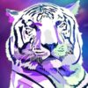 Diamond Painting Witte Tijger Galaxy voorbeeldafbeelding van het volledige ontwerp