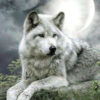 Diamond Painting Wolf 1 voorbeeldafbeelding van het volledige ontwerp