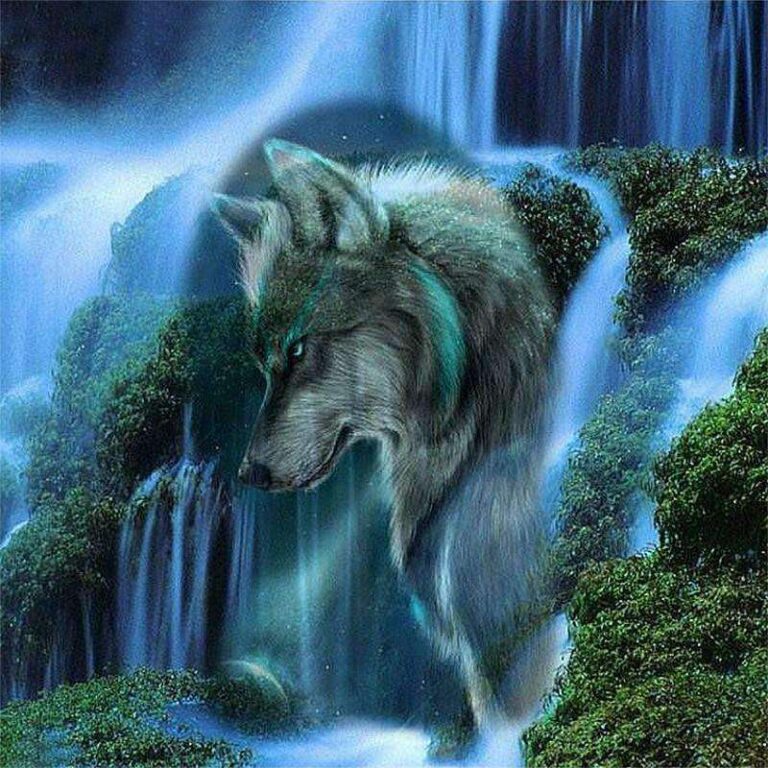 Diamond Painting Wolf Bij een Waterval voorbeeldafbeelding van het volledige ontwerp