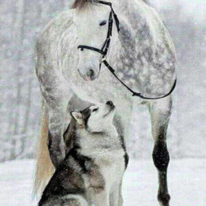 Diamond Painting Wolf En Paard In de Sneeuw voorbeeldafbeelding van het volledige ontwerp