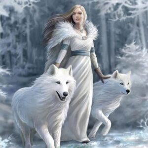 Diamond Painting Wolf Vrouw Sneeuw voorbeeldafbeelding van het volledige ontwerp