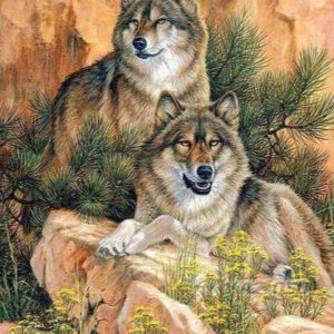 Diamond Painting Wolven Samen Op Een Rots voorbeeldafbeelding van het volledige ontwerp