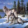 Diamond Painting Wolven Sneeuw voorbeeldafbeelding van het volledige ontwerp