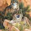 Diamond Painting Wolven Steen voorbeeldafbeelding van het volledige ontwerp