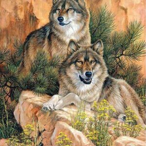 Diamond Painting Wolven Steen voorbeeldafbeelding van het volledige ontwerp