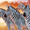 Diamond Painting Zebra voorbeeldafbeelding van het volledige ontwerp