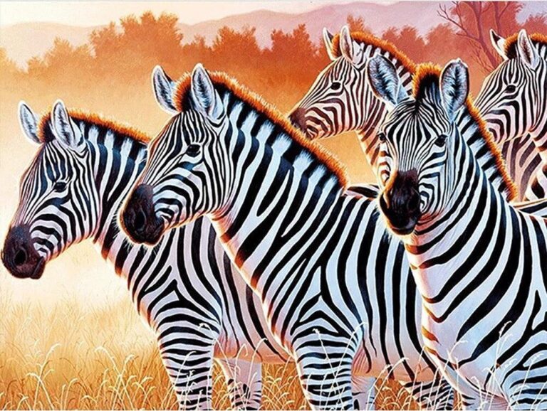 Diamond Painting Zebra voorbeeldafbeelding van het volledige ontwerp