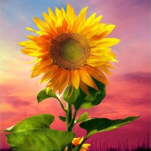 Diamond Painting Zonnebloem in Ochtendzon voorbeeldafbeelding van het volledige ontwerp