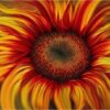 Diamond Painting Zonnebloemen voorbeeldafbeelding van het volledige ontwerp