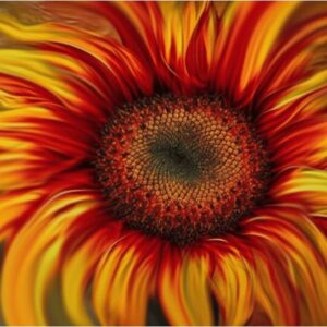 Diamond Painting Zonnebloemen voorbeeldafbeelding van het volledige ontwerp
