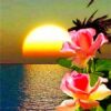 Diamond Painting Zonsondergang Rozen voorbeeldafbeelding van het volledige ontwerp