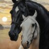 Diamond Painting Zwart En Bruin Paard voorbeeldafbeelding van het volledige ontwerp