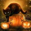 Diamond Painting Zwarte Kat Halloween voorbeeldafbeelding van het volledige ontwerp