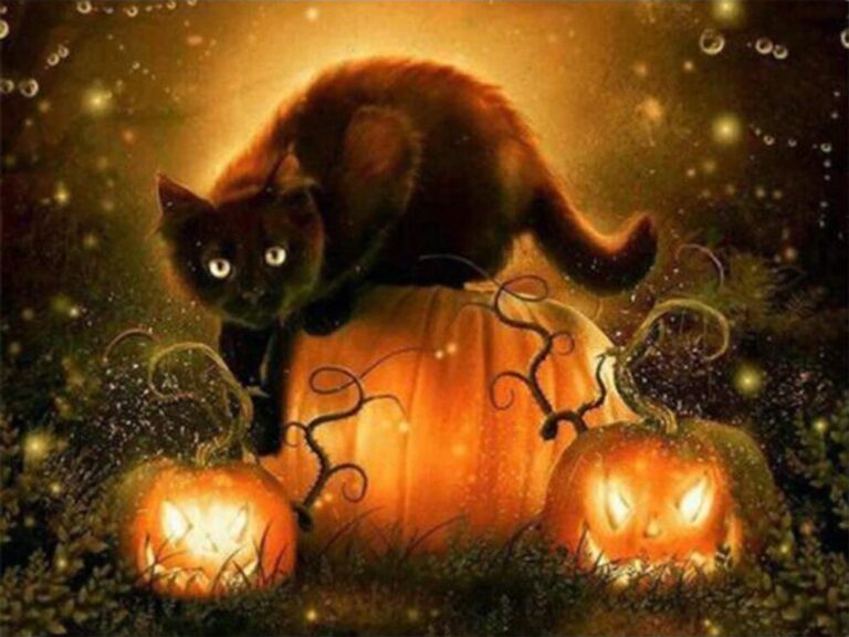 Diamond Painting Zwarte Kat Halloween voorbeeldafbeelding van het volledige ontwerp