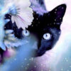 Diamond Painting Zwarte Poes voorbeeldafbeelding van het volledige ontwerp