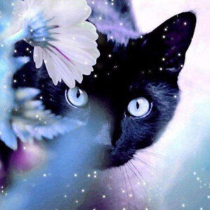 Diamond Painting Zwarte Poes voorbeeldafbeelding van het volledige ontwerp
