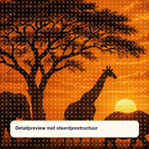 Diamond painting pakket big five safari bij zonsondergang met hoofdbeeld en sfeerbeelden detailpreview