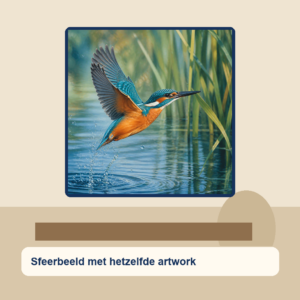 Diamond painting pakket ijsvogel boven rietwater met hoofdbeeld en sfeerbeelden sfeerbeeld