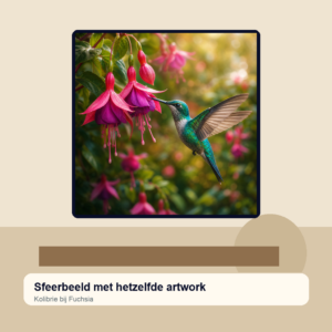 Diamond painting pakket kolibrie bij fuchsia met hoofdbeeld en sfeerbeelden sfeerbeeld