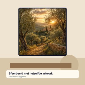 Diamond painting pakket toscaanse olijfgaard met hoofdbeeld en sfeerbeelden sfeerbeeld