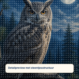 Diamond painting pakket uil in maanbos met hoofdbeeld en sfeerbeelden detailpreview