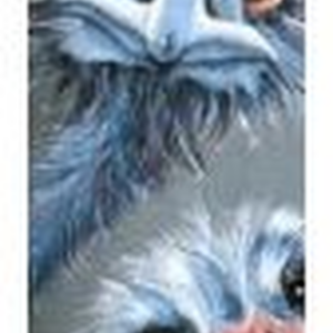 Volledig lang ontwerp van vier grappige struisvogels voor diamond painting 20 bij 100 cm
