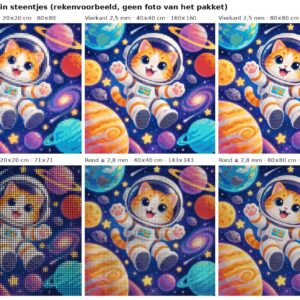 Rekenvoorbeeld van het ontwerp kat als astronaut in vierkante en ronde steentjes op 20, 40 en 80 cm