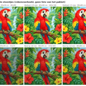 Rekenvoorbeeld van het ontwerp papegaai in de jungle in vierkante en ronde steentjes op 20, 40 en 80 cm
