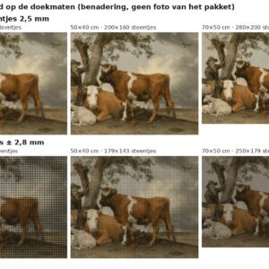 Rekenvoorbeeld van De stier van Paulus Potter in vierkante en ronde steentjes op drie doekmaten