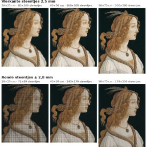 Rekenvoorbeeld van Portret van een jonge vrouw van Botticelli in vierkante en ronde steentjes op drie doekmaten